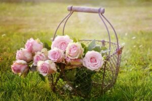 Bouquet de roses rose dans son panier dans la nature