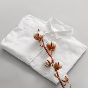 Branche de coton et sa chemise en coton