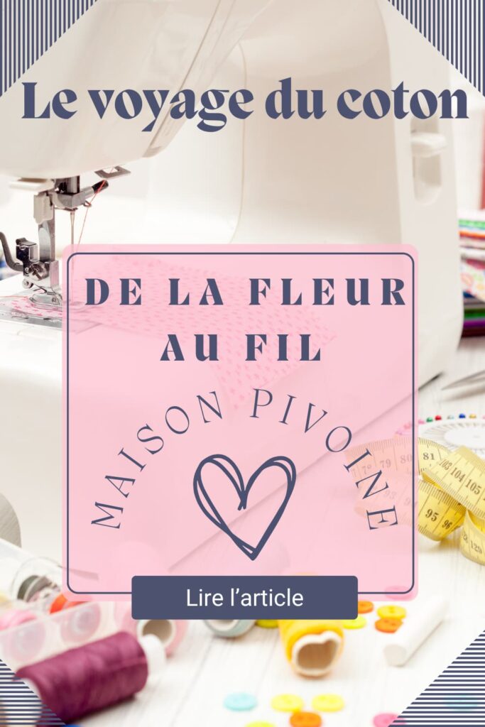 l'histoire du coton, son voyage de la fleur à mon atelier