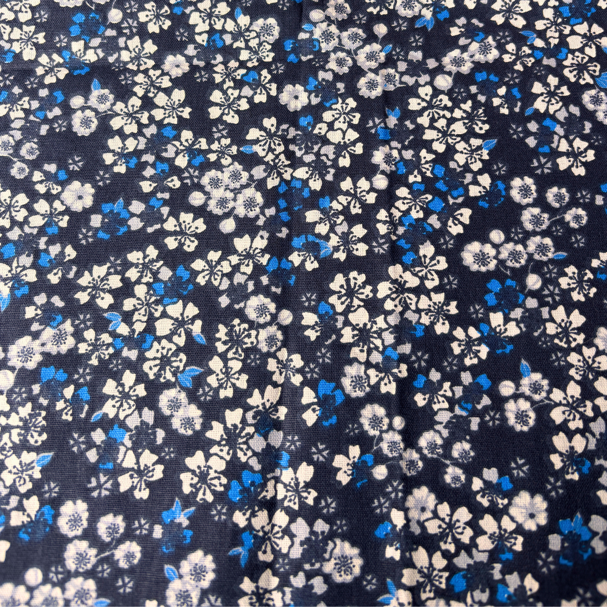 Fleur / fond bleu